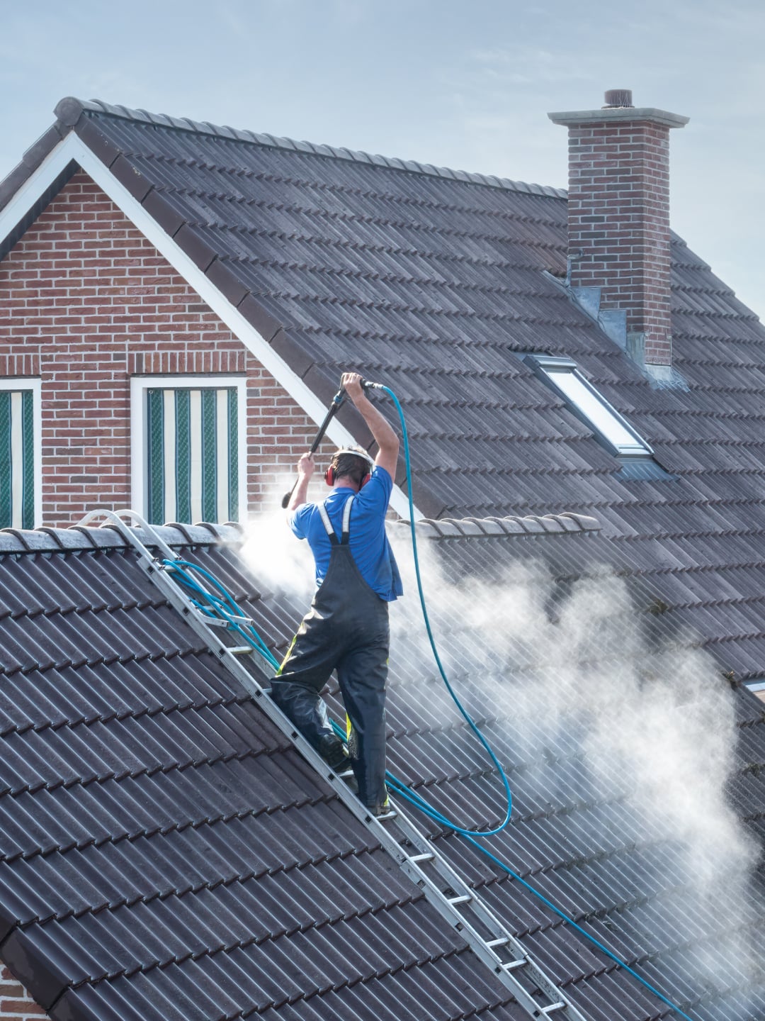 Roof cleaning